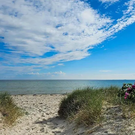 8229-knebel-kornblomstvej-7